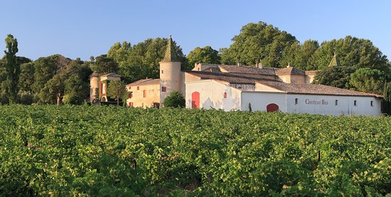 Château Bas entouré de ses vignes bio, donnant les cuvées Pierres du Sud